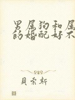 男属狗和属牛女的婚配好不好