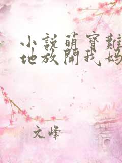 小说萌宝难宠爹地放开我妈咪