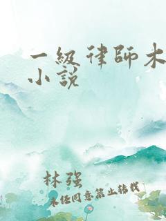 一级律师木苏里小说