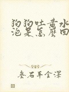 狗狗吐黄水带泡泡是怎么回事