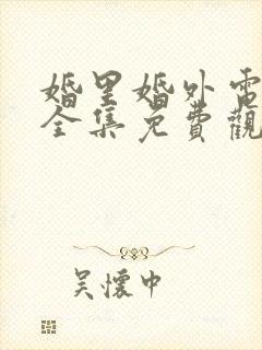 婚里婚外电视剧全集免费观看