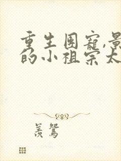 重生团宠,景爷的小祖宗太粘人全文免费阅读