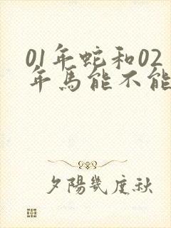 01年蛇和02年马能不能婚配