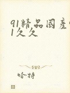 91精品国产91久久