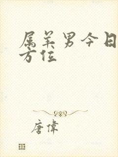 属羊男今日财运方位