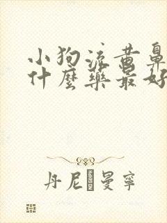 小狗流黄鼻涕吃什么药最好呢