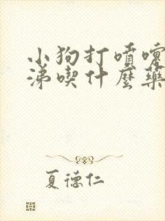 小狗打喷嚏流鼻涕吃什么药好