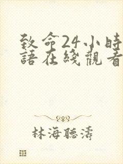 致命24小时国语在线观看高清