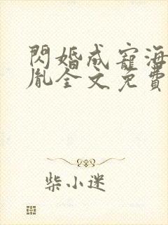 闪婚成宠海彤战胤全文免费