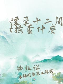 怀孕十二周做nt检查什么