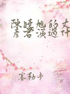 陈晓旭的丈夫毕彦君演过什么