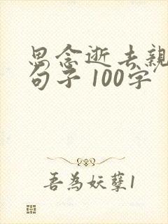 思念逝去亲人的句子 100字