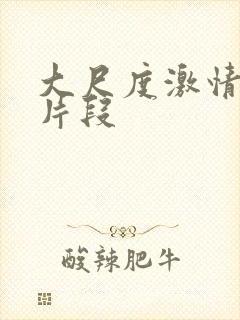 大尺度激情视频片段