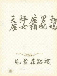 天秤座男和处女座女相配吗