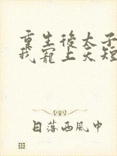 重生后太子爷把我宠上天短剧全集