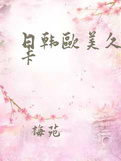 日韩欧美久久不卡