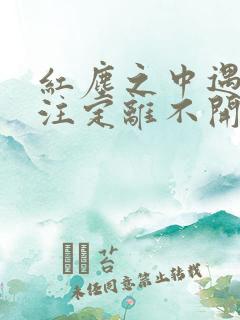 红尘之中遇见你注定离不开是什么歌