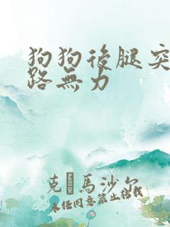 狗狗后腿突然走路无力