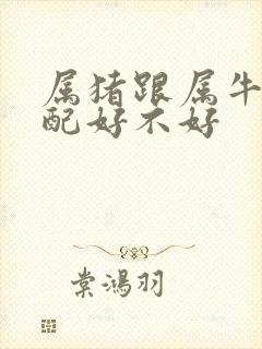 属猪跟属牛的婚配好不好