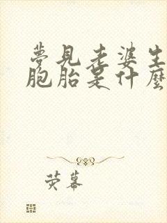 梦见老婆生了双胞胎是什么意思