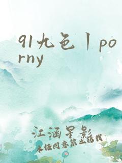 91九色丨porny
