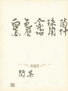 白色念珠菌感染怎么治用什么药