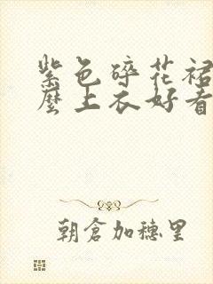 紫色碎花裙配什么上衣好看