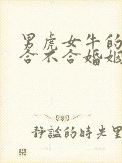 男虎女牛的属相合不合婚姻