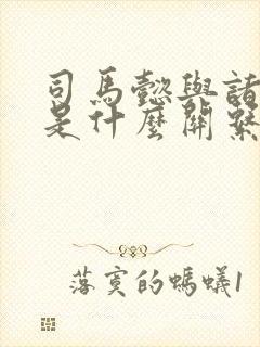 司马懿与诸葛亮是什么关系