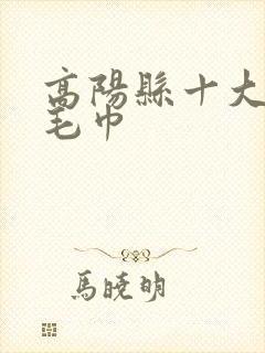 高阳县十大名牌毛巾