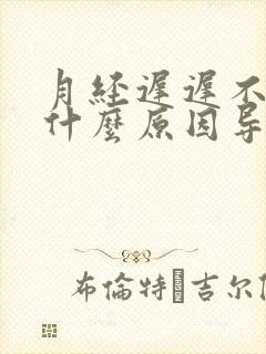 月经迟迟不来是什么原因导致