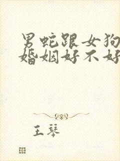 男蛇跟女狗配的婚姻好不好