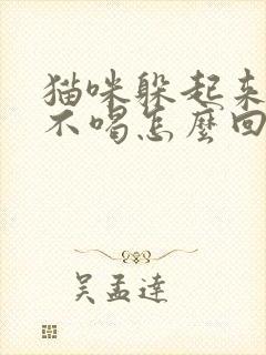 猫咪躲起来不吃不喝怎么回事