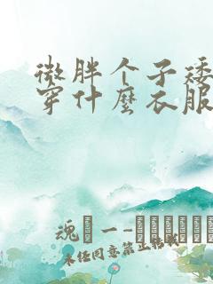 微胖个子矮适合穿什么衣服