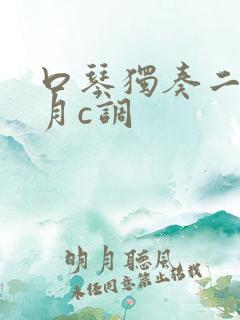 口琴独奏二泉映月c调