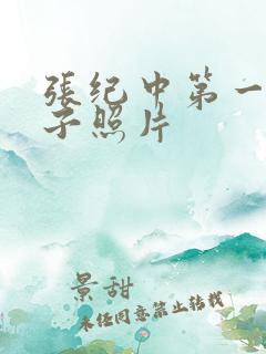 张纪中第一任妻子照片