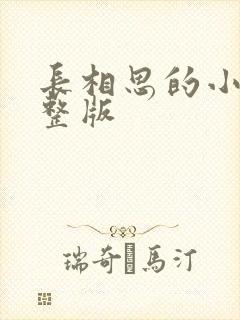 长相思的小说完整版