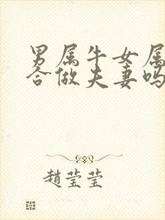 男属牛女属虎适合做夫妻吗