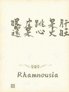 眼皮跳是肝火旺还是心火旺