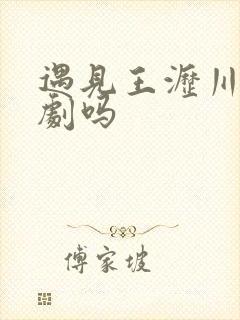 遇见王沥川是悲剧吗