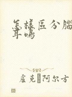 怎样区分脑响和耳鸣