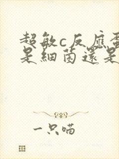 超敏c反应蛋白是细菌还是病毒