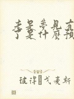 老是梦见有人死了是什么预兆