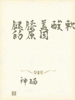 腿膝盖酸软无力的原因