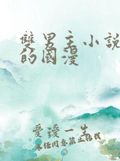 双男主小说改编的国漫