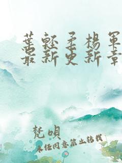 叶轻柔杨军小说最新更新章节免费阅读