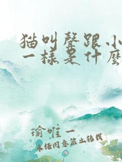 猫叫声跟小孩哭一样是什么意思