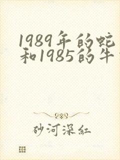 1989年的蛇和1985的牛相配吗?