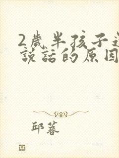 2岁半孩子还不说话的原因