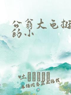 公翁大龟挺进我的小